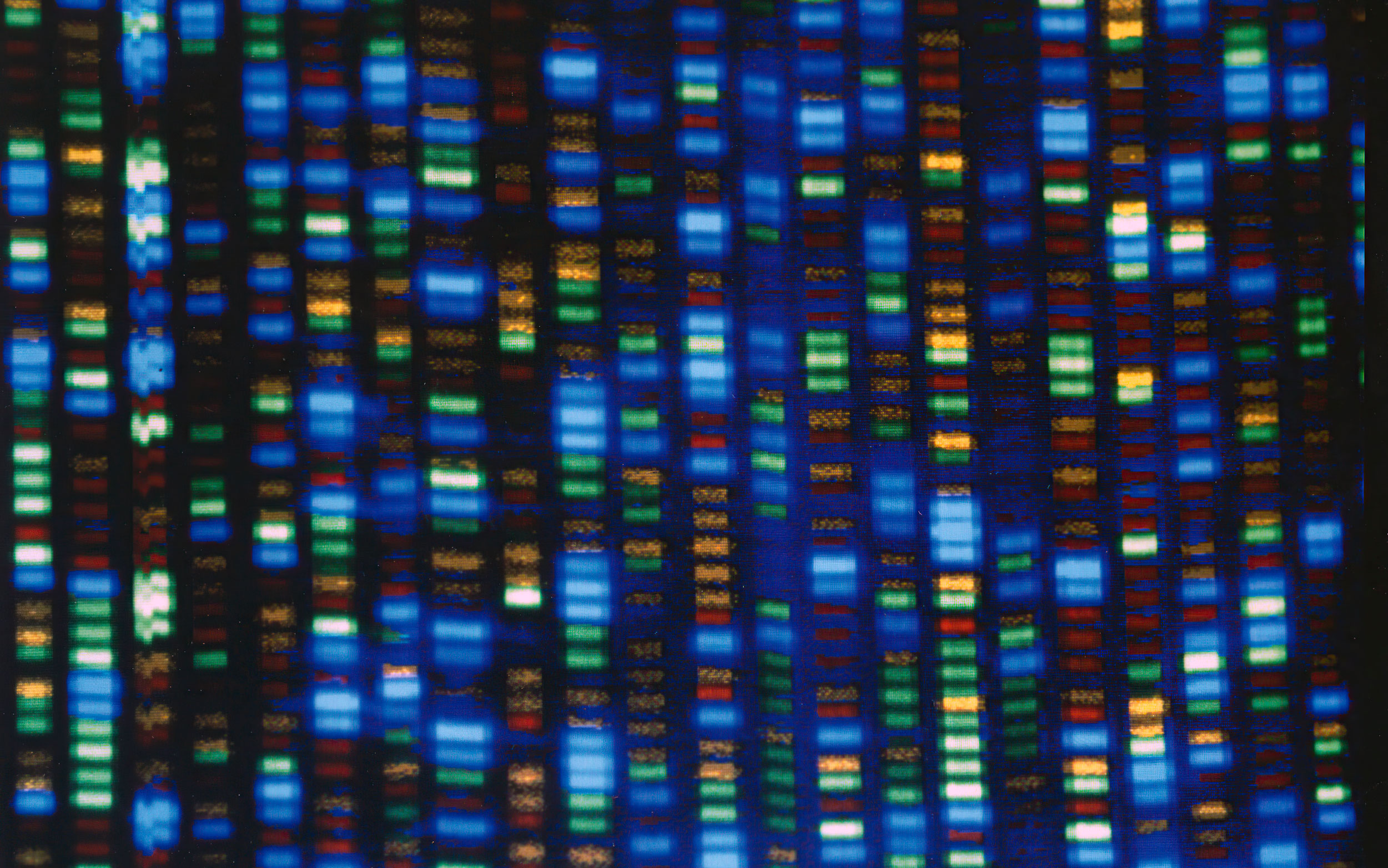 Científicos terminan de descifrar todo el genoma humano
