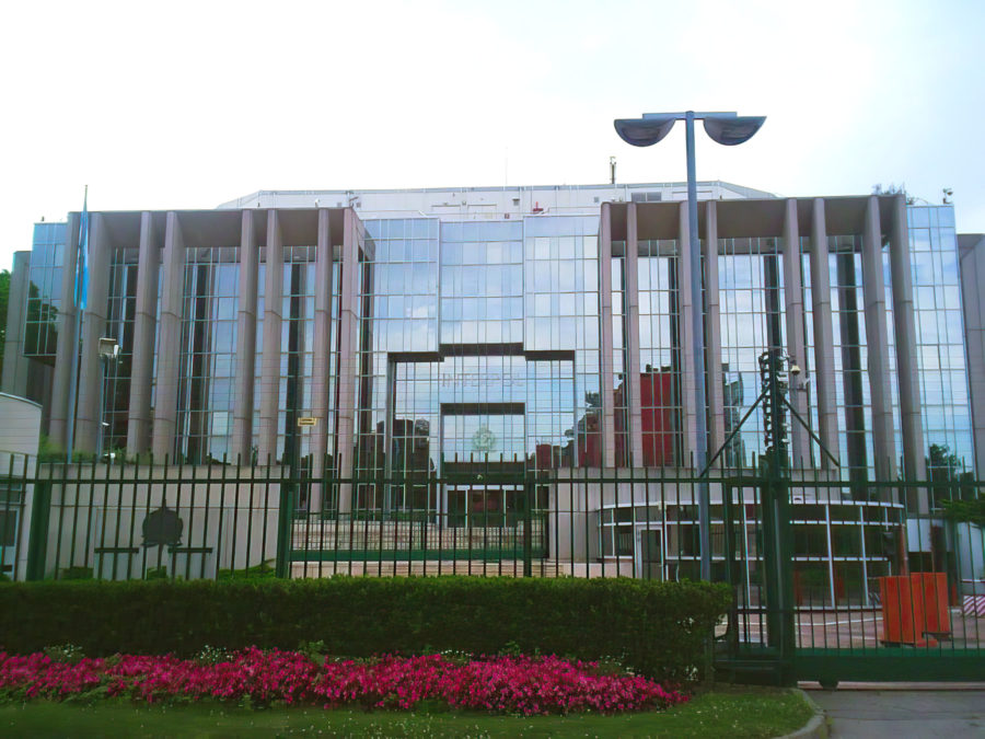 Interpol: Se restringe la capacidad de Rusia para introducir información en la red policial mundial