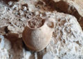 Turista halló una jarra de cerámica de la Edad de Bronce en Judea