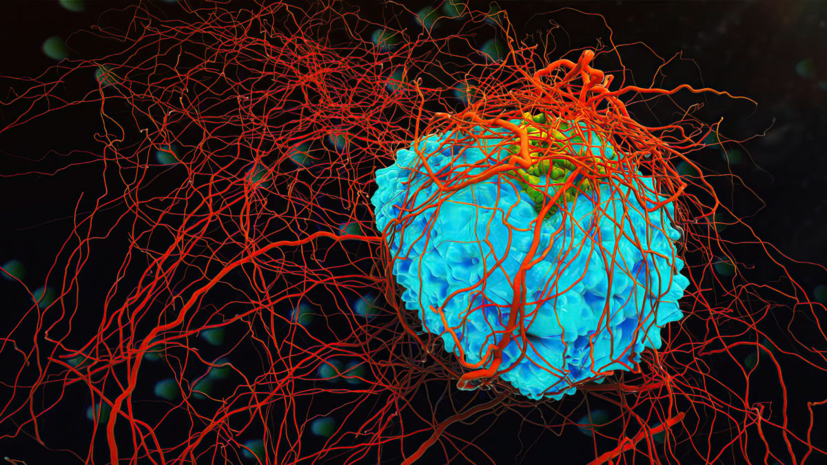 Laboratorio israelí dice haber hecho seguro un potente -pero tóxico- tratamiento contra el cáncer