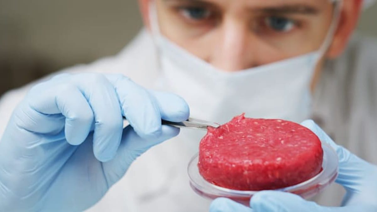 La Autoridad de Innovación de Israel crea un consorcio de carne cultivada