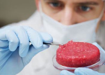 La Autoridad de Innovación de Israel crea un consorcio de carne cultivada