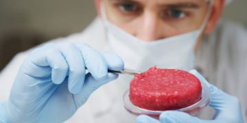 La Autoridad de Innovación de Israel crea un consorcio de carne cultivada