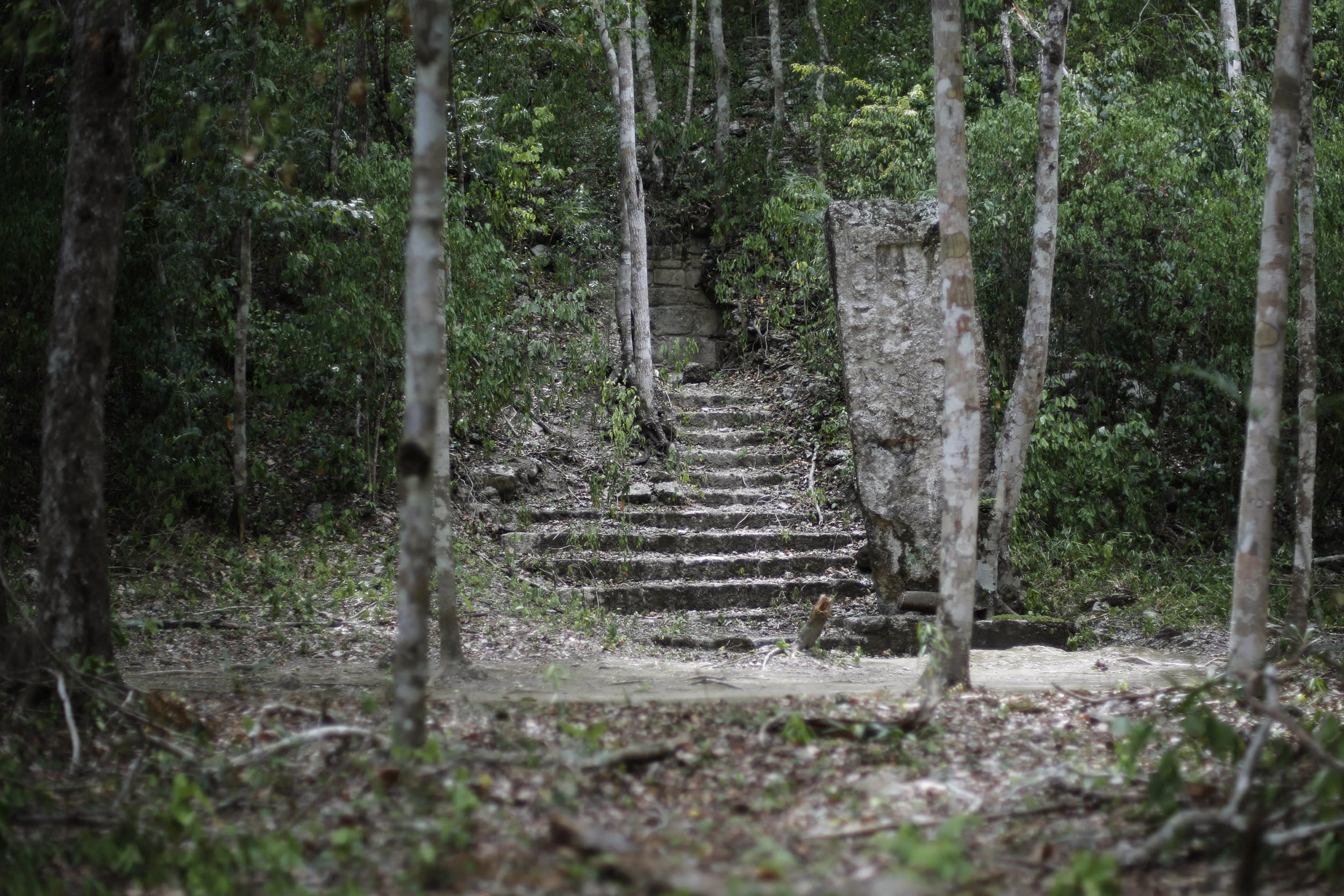 Encuentran en una pirámide guatemalteca las primeras pruebas del calendario maya