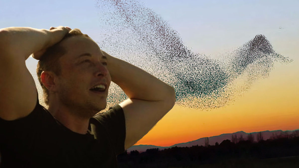 Twitter dispuesto a aceptar la oferta de Elon Musk de $43.000 millones