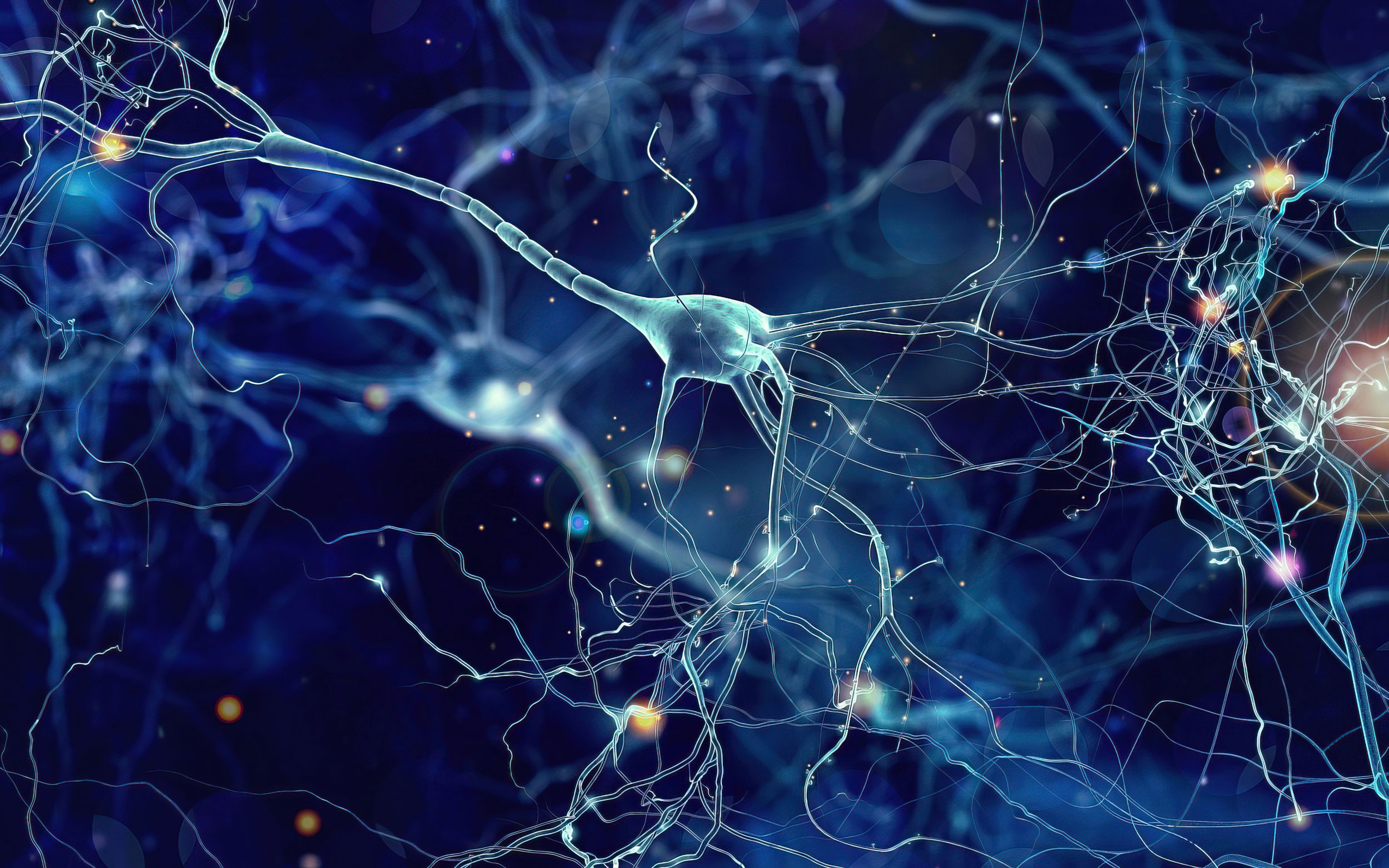 Скорость нейронов в мозге. Neyron tarmoq. Нейронная система. Нейронные сети головного мозга. Связь нейронов головного мозга.
