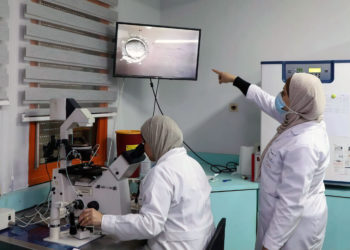 Parejas árabes israelíes acuden a las clínicas de palestinas para elegir el sexo de sus bebés