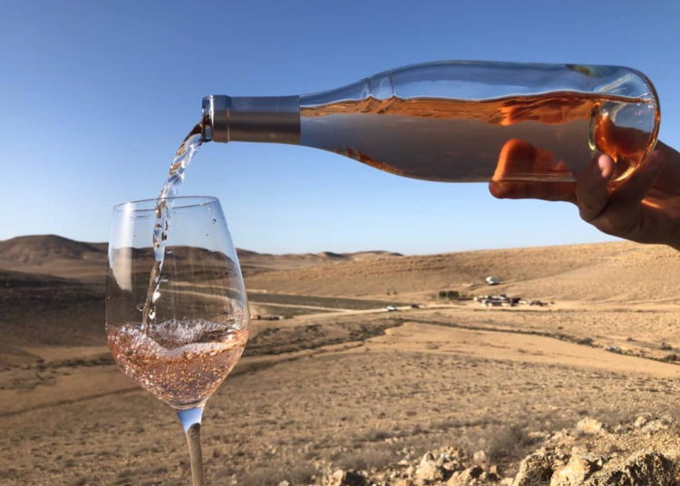 Nueva generación de viticultores hace florecer el desierto en el Néguev