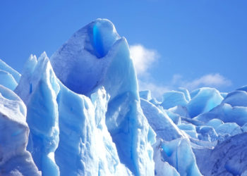 El tamaño del cerebro es un factor importante para sobrevivir a la Edad de Hielo