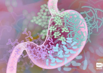 Investigadores desarrollan “bacterias biónicas” que crean mejores combustibles y productos químicos