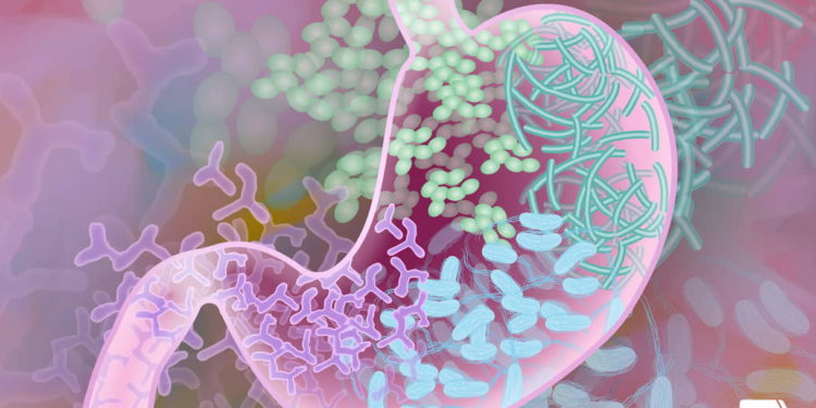 Investigadores desarrollan “bacterias biónicas” que crean mejores combustibles y productos químicos