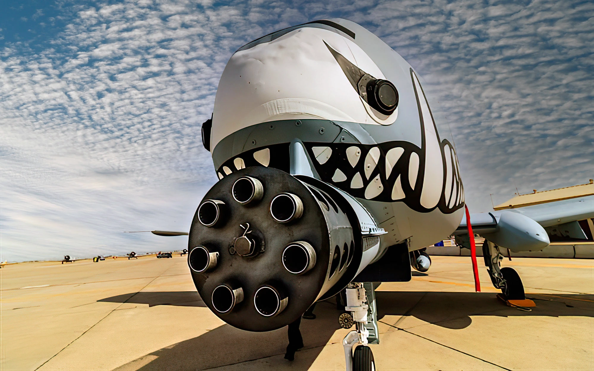 Por qué el A-10 Warthog es una máquina de matar tanques