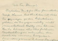 Foto de una carta manuscrita y firmada por Albert Einstein y dirigida a la periodista danesa Karen Stampe Bendix en 1936, en la que el célebre físico insta al mundo libre a atacar a la Alemania nazi. (Casa de subastas Kedem)