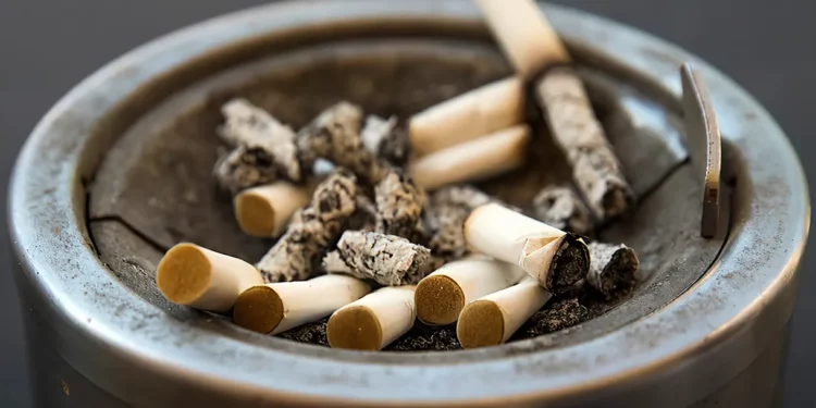 cigarrillo; humo; ceniza; ilustración; cenicero; adicción; fumar