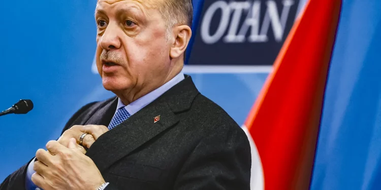 La justicia controlada por Erdogan libera a 29 terroristas del Hezbolá turco