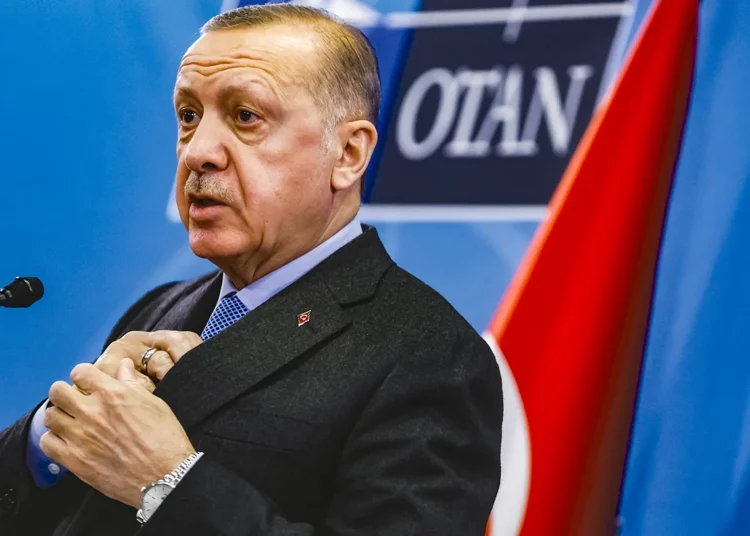 La justicia controlada por Erdogan libera a 29 terroristas del Hezbolá turco