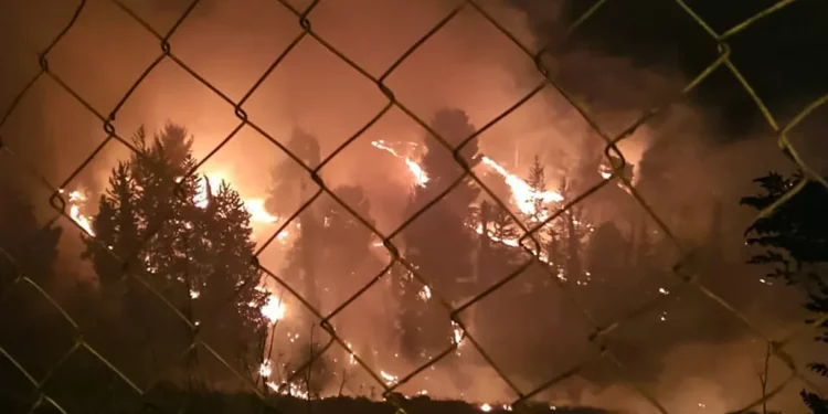Cinco hospitalizados por inhalación de humo de un incendio forestal en Jerusalén