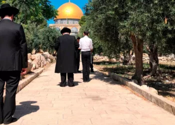 Juez falla en contra de los judíos que rezaron en el Monte del Templo: revocando el fallo de un tribunal inferior