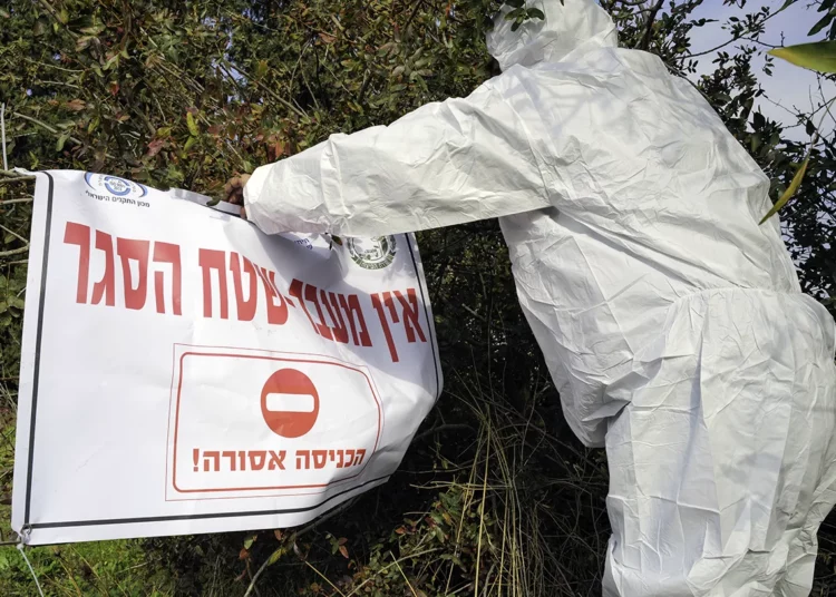 Dos aves infectadas con la gripe aviar H5N8 encontradas en Israel