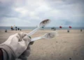 La coalición aprueba la prohibición de los productos desechables en las playas