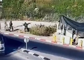 Islamista palestino intenta apuñalar a un soldado en Judea y Samaria y es abatido por las tropas