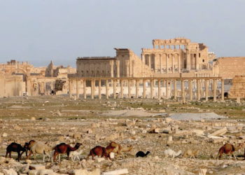 Una arqueóloga resuelve el misterio del “Dios Anónimo de Palmira”