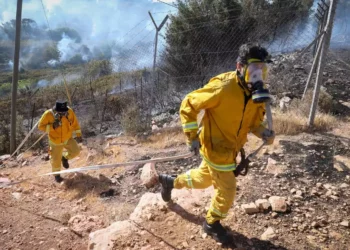 Bomberos combaten incendios en zonas cerca de Jerusalén