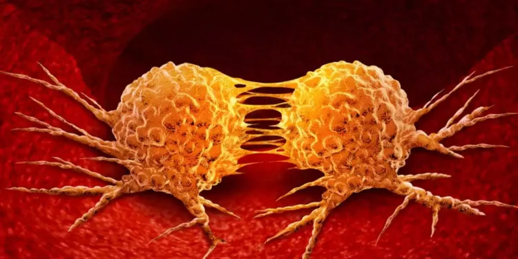 Científicos desarrollan un método para hacer inofensivas las células cancerosas de la sangre
