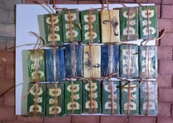 Las Fuerzas de Defensa de Israel capturan un cargamento de cocaína de $2 millones en la frontera con Egipto