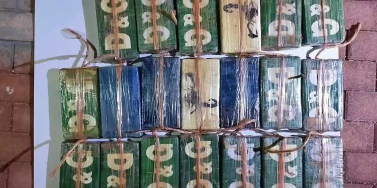 Las Fuerzas de Defensa de Israel capturan un cargamento de cocaína de $2 millones en la frontera con Egipto