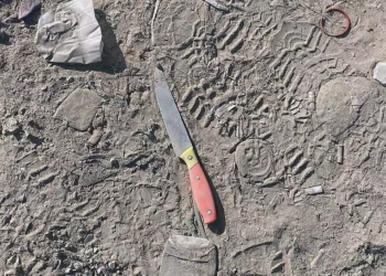 Soldados de las FDI disparan a una islamista palestina que pretendía apuñalarlos en Judea y Samaria
