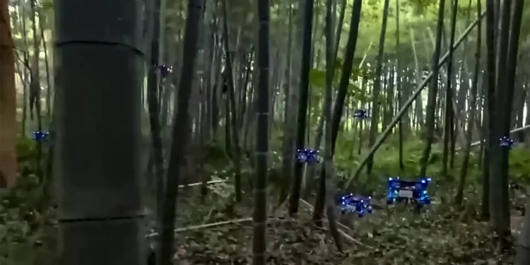 Enjambre de drones en un bosque no se estrellan gracias a un algoritmo
