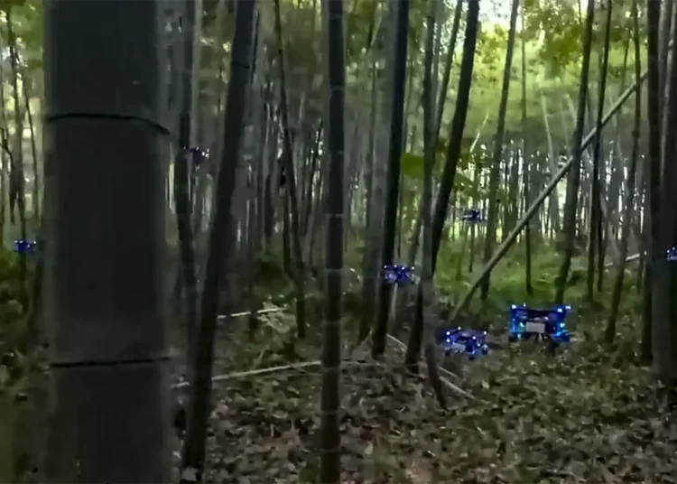 Enjambre de drones en un bosque no se estrellan gracias a un algoritmo