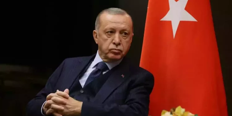 Erdogan tiene previsto organizar conversaciones con Zelensky y Putin