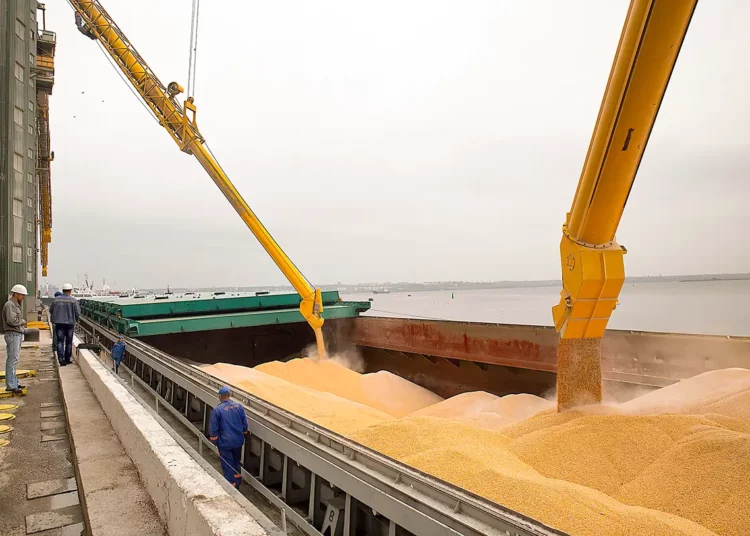 Turquía compra el grano ucraniano robado por Rusia - Reporte