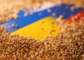 Rusia abandona el acuerdo de exportación de grano de Ucrania