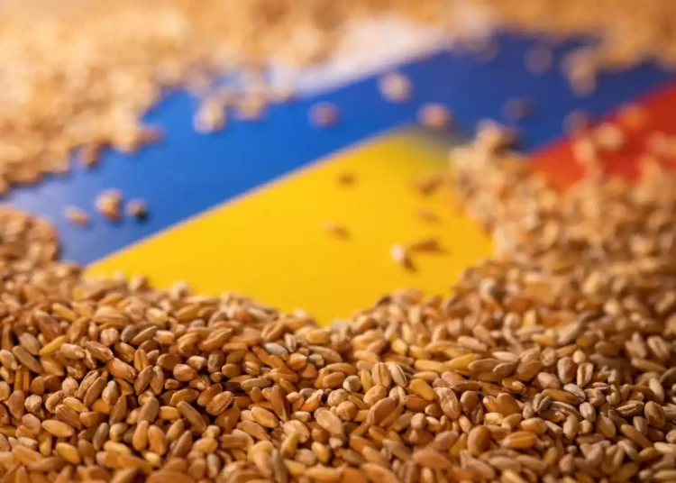 Turquía y Rusia hablan sobre desbloquear los puertos ucranianos para la exportación de cereales