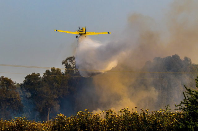 Israel ayuda a combatir un incendio forestal en el norte de Chipre