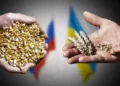 Rusia ofrece reanudar las exportaciones de cereales a cambio de un alivio de sanciones