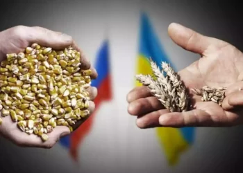 Rusia ofrece reanudar las exportaciones de cereales a cambio de un alivio de sanciones