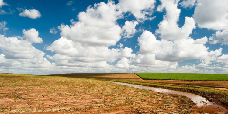 6 empresas israelíes que ayudan al mundo a combatir la desertificación y la sequía