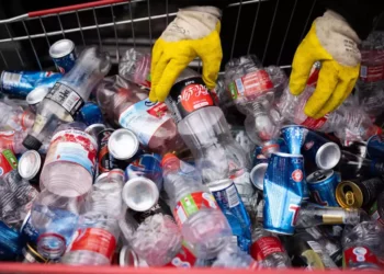 El Ministerio censura a las empresas de bebidas por la lentitud en la recogida de los contenedores de reciclaje