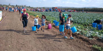32 actividades en Israel que puedes disfrutar con tus hijos en verano