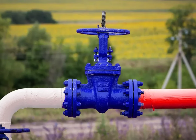 Rusia afirma que su producción de petróleo repuntará en junio