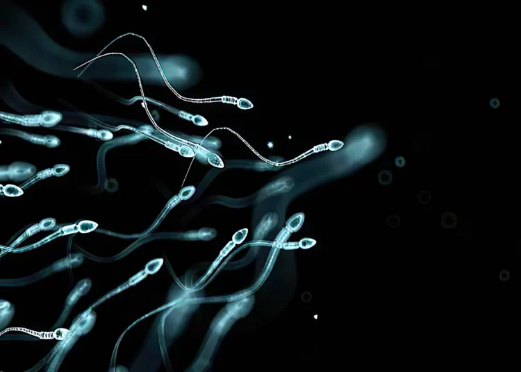 Esperma generado en laboratorio en una universidad israelí
