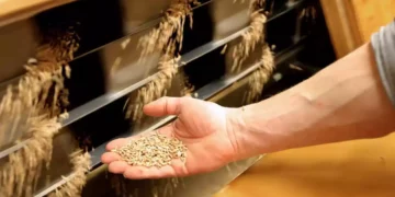 Rusia dice estar dispuesta a garantizar la seguridad de las exportaciones de grano ucraniano