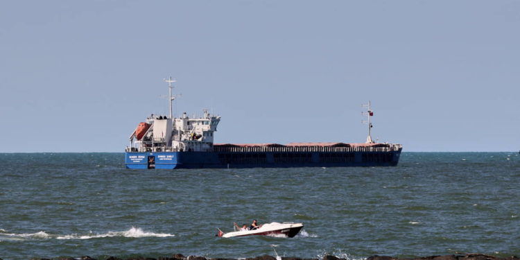 Turquía detiene un barco ruso que transportaba grano ucraniano
