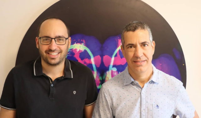 Estudio de la Universidad de Tel Aviv revela el misterio de la conciencia cerebral