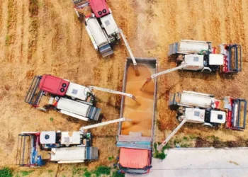 La guerra de Rusia en Ucrania provocará una catástrofe alimentaria mundial