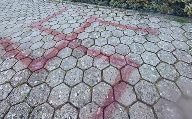 Pintan esvástica frente a hotel que alojaba a estudiantes judíos